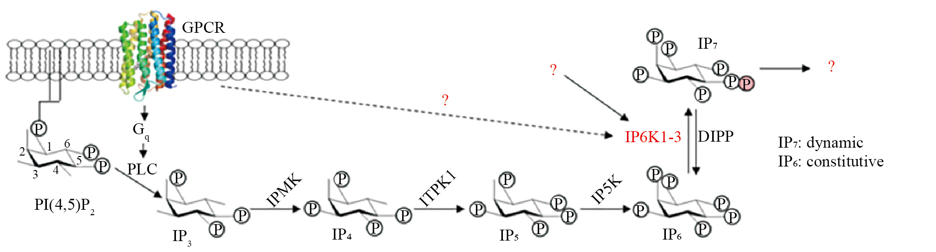 1644806090320087512.jpg 领域前沿-1.jpg