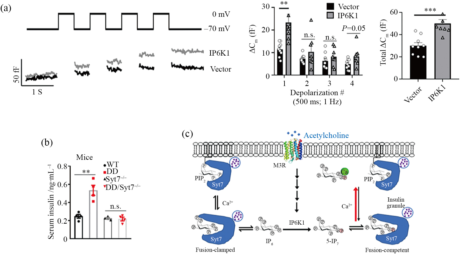 1644806495855021103.jpg 领域前沿-4.jpg