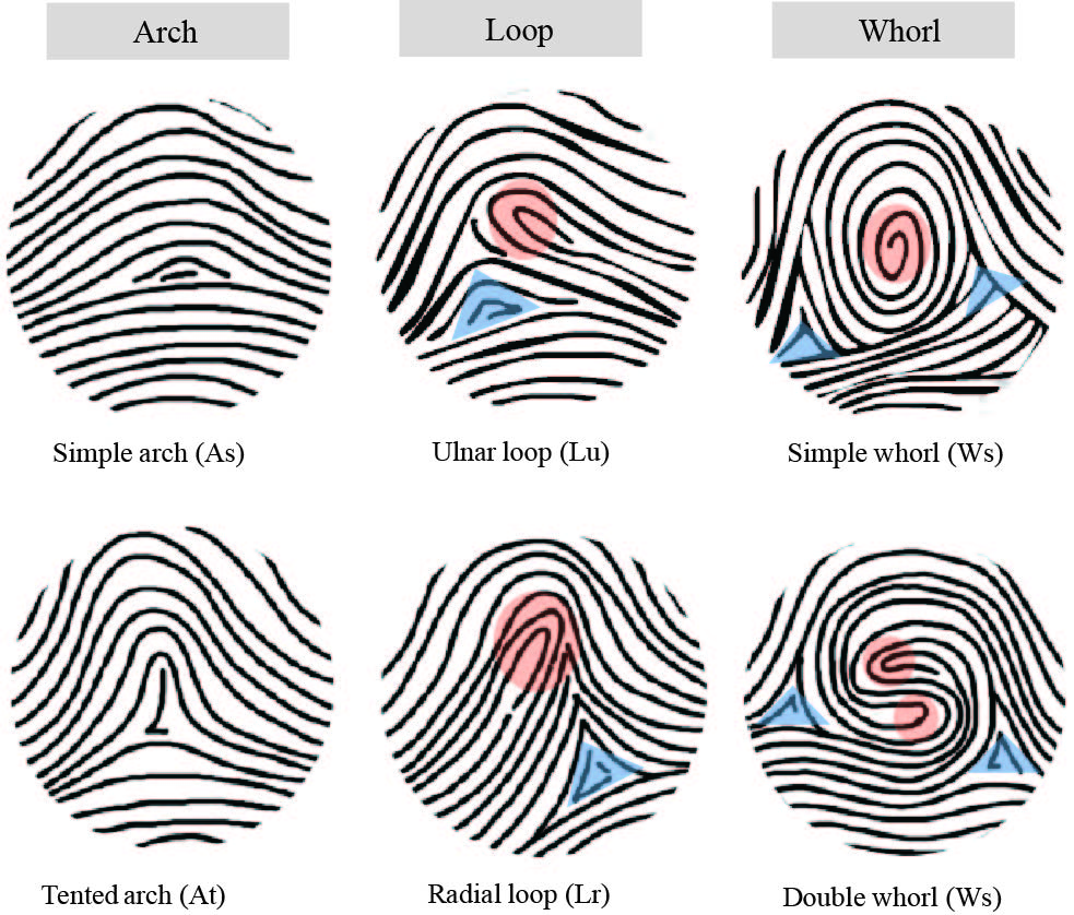 Figure 1.jpg