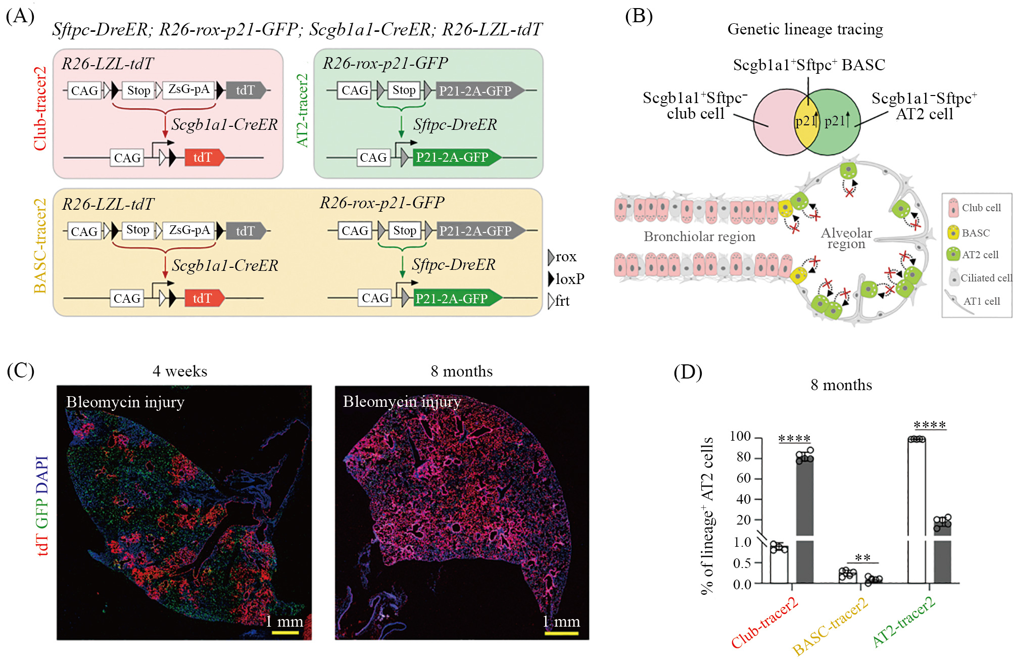 1716970688392070172.jpg ZB-5.jpg