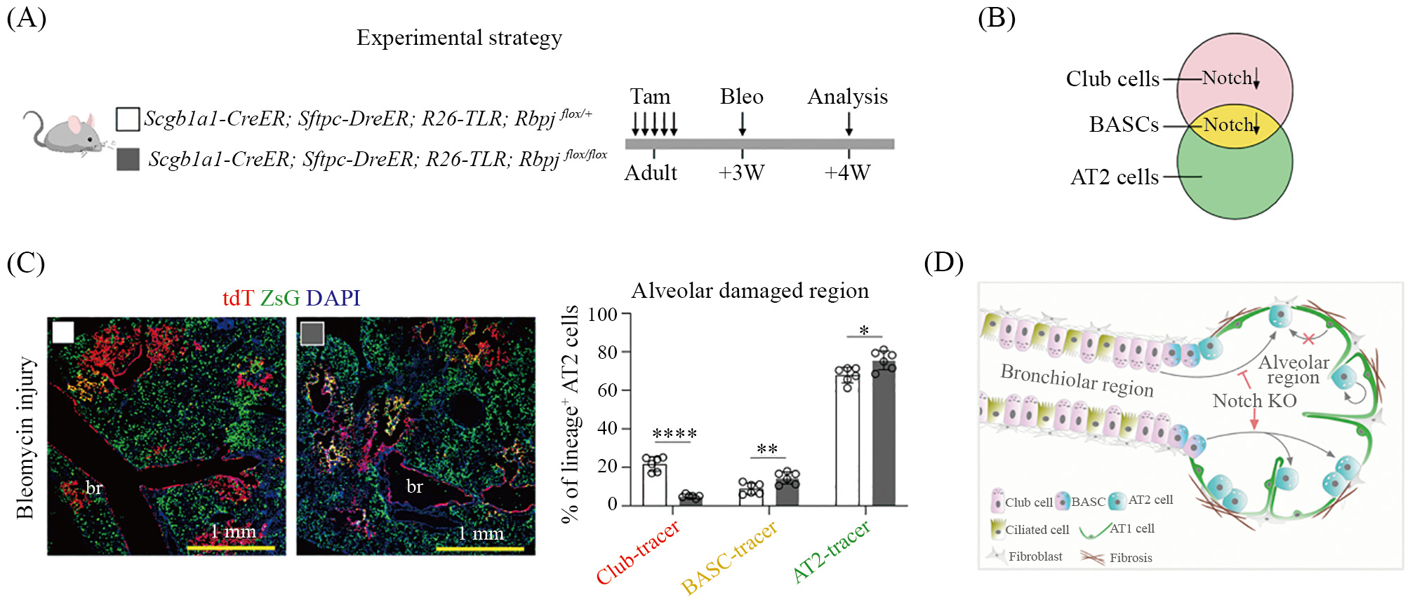 1716970865546001971.jpg ZB-6.jpg