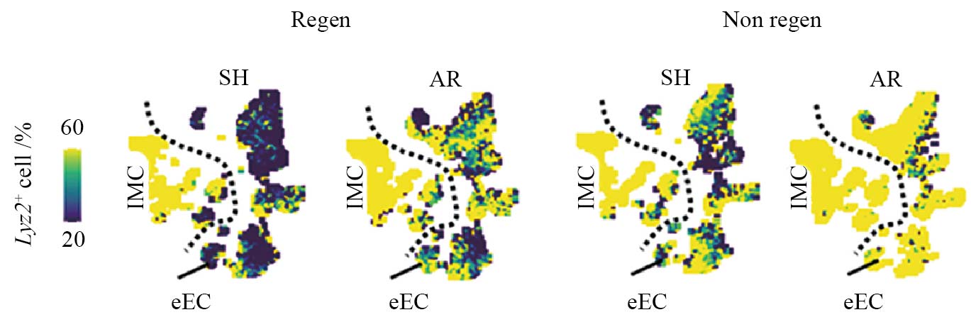 1762396326817002450.jpg 11.jpg