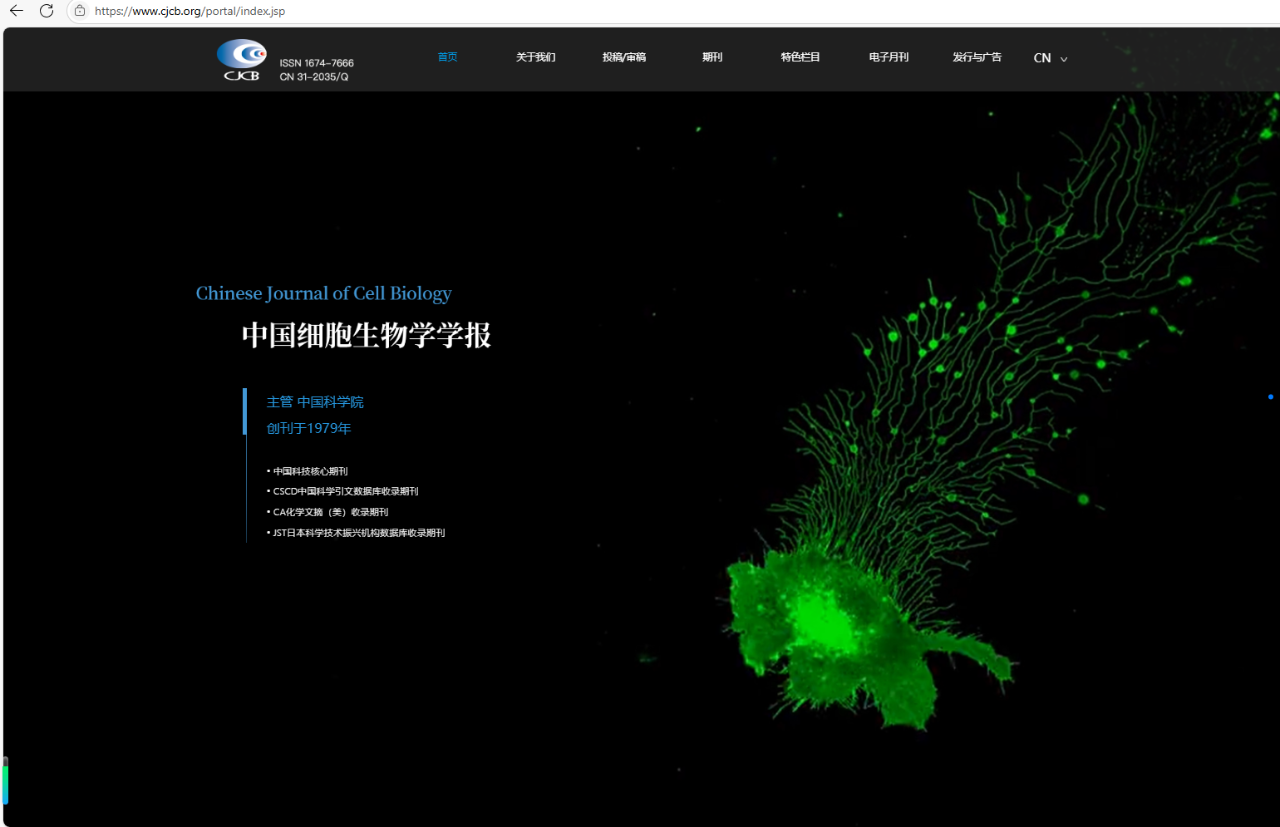 微信图片_20250611164310.png